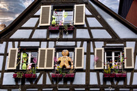 Alsace Gingerbread Man