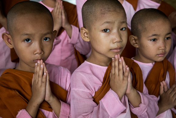 Buddhist Nuns in Prayer