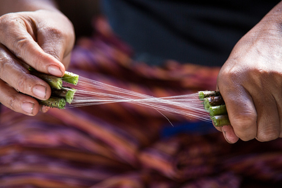 Weaving with Lotus Flower Threads