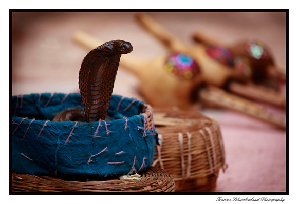 Snake In Basket